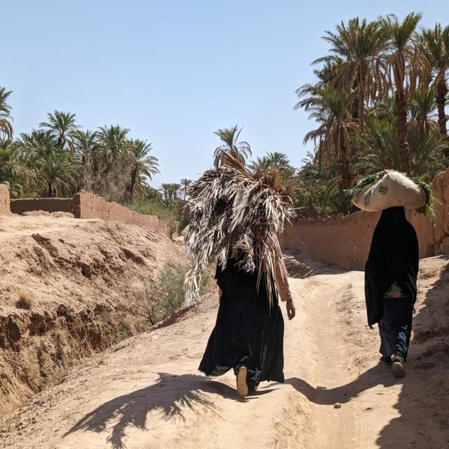 Two Berber women carrying agriculture goods on a path in the Draa valley
