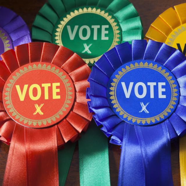 Different coloured rosettes to indicate UK political parties