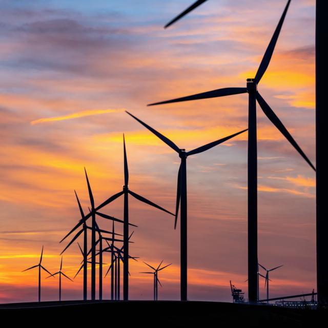 Wind farm at sunrise