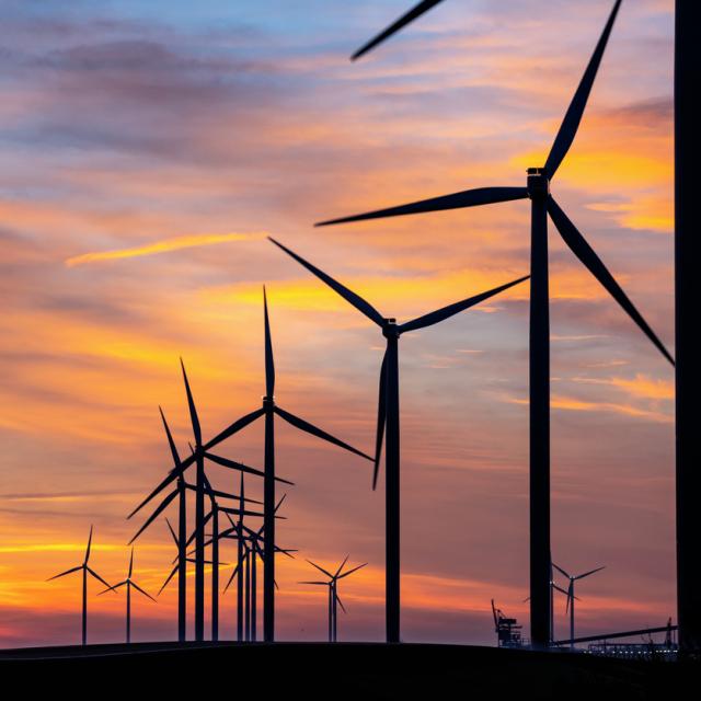 Wind farm at sunrise 