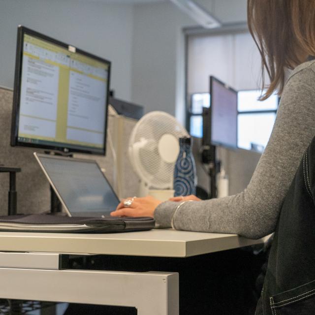 Person at laptop working on survey questions