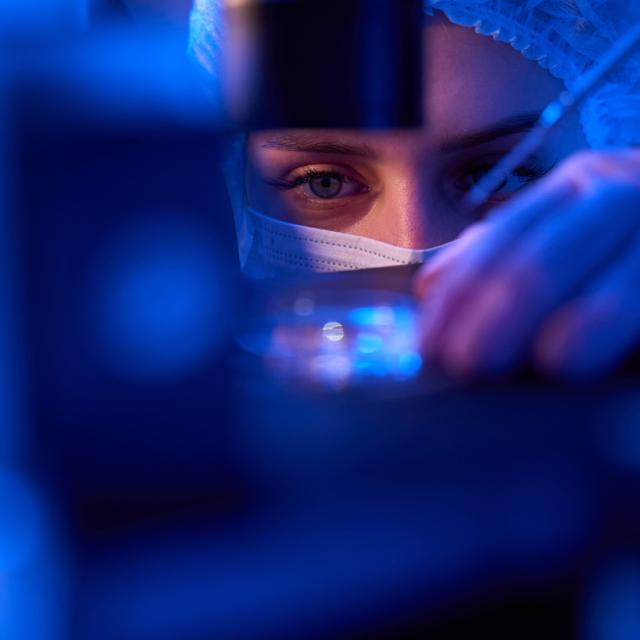 Lab researcher in sterile gloves and mask placing culture dish under microscope