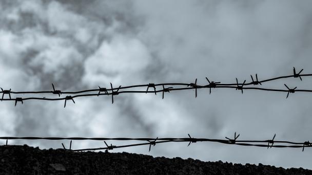 Image of barbed-wire 