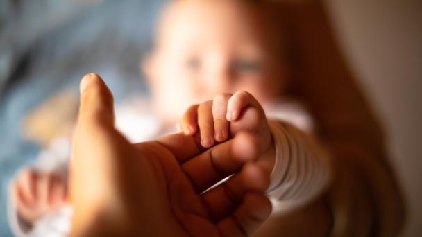 Baby holding parent's hand