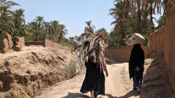 Two Berber women carrying agriculture goods on a path in the Draa valley