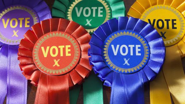 Different coloured rosettes to indicate UK political parties