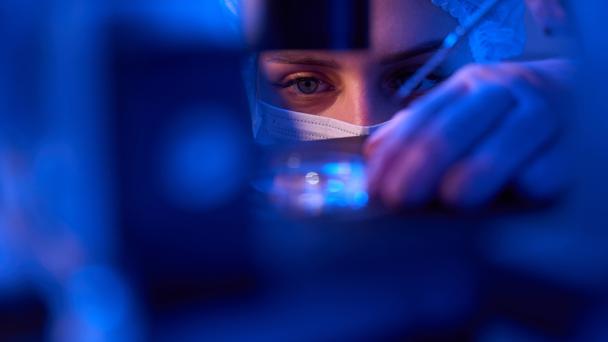 Lab researcher in sterile gloves and mask placing culture dish under microscope