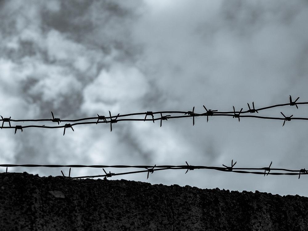 Image of barbed-wire 